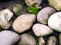 stones in a creek
